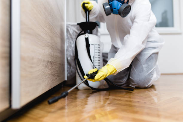 Best Rat Extermination Near Me  in Ringgold, LA