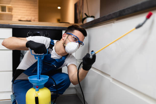 Best Pest Inspection Near Me  in Ringgold, LA
