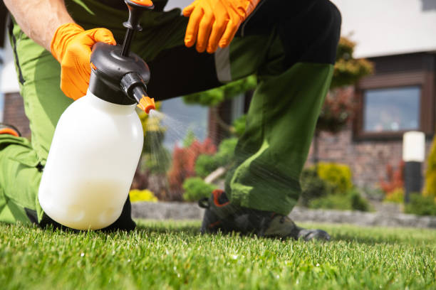Best Residential Pest Control  in Ringgold, LA