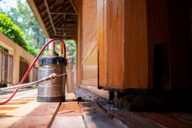 Best Exterminator Services  in Ringgold, LA